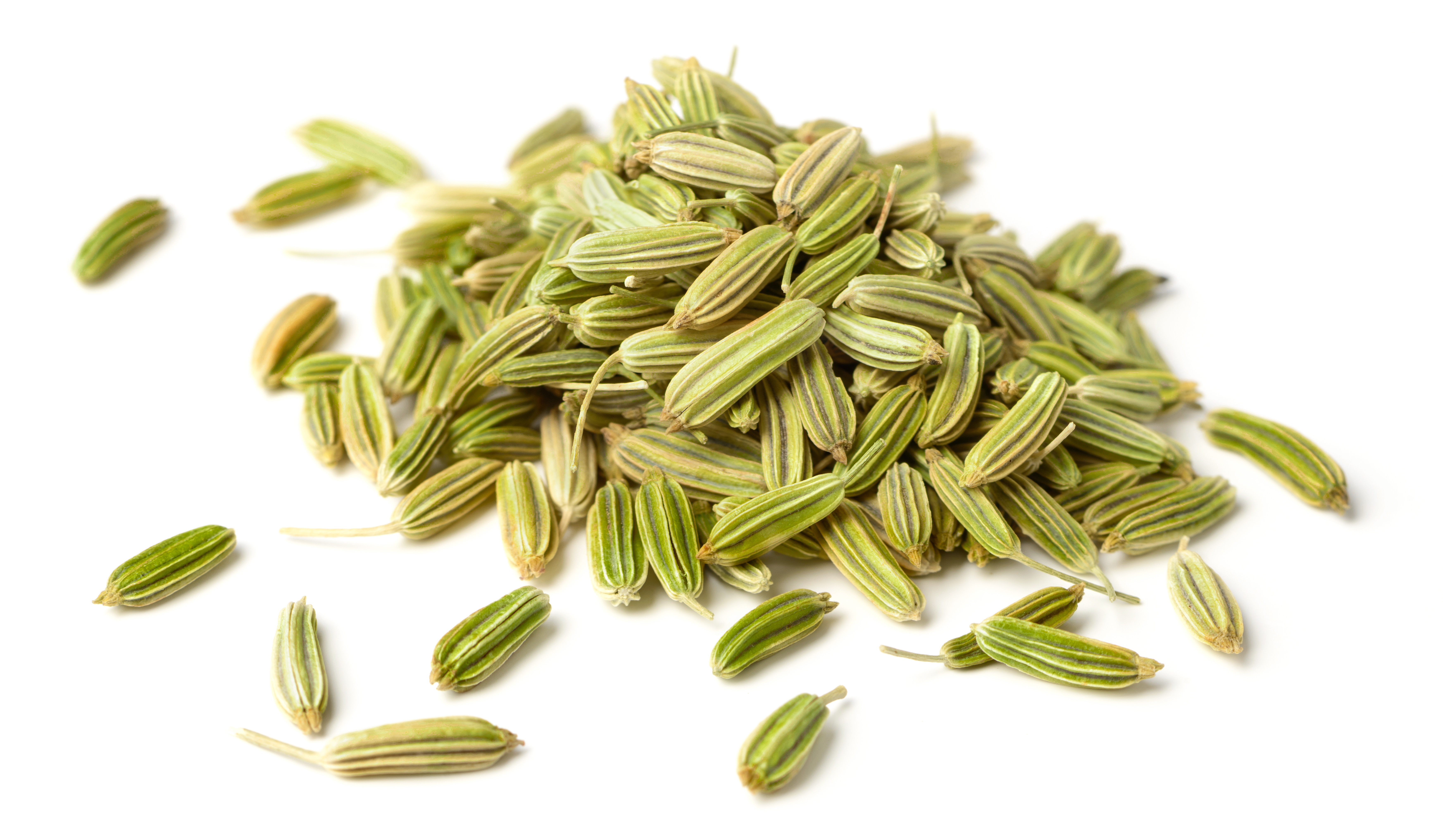 Bulk Fennel